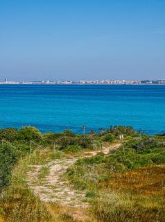 Masseria Pizzo - 7