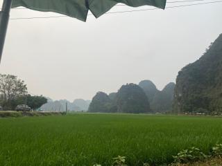 Tam Coc Harmony Homestay - Vũ Lâm - 7