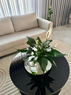 Teamor boutique manor - 3