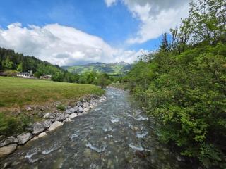 Feines Alpennest - 6