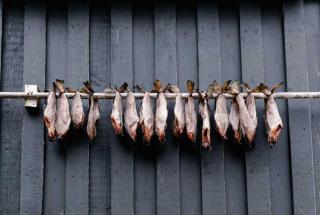 Traditional Faroese House Near Airport - 2