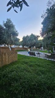Ruina Glamping -  - 7