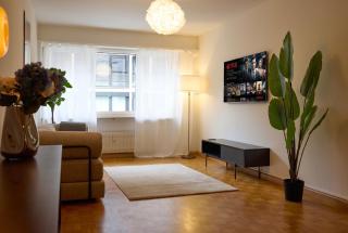 Central Vintage Apartment with Free BaselCard - 9