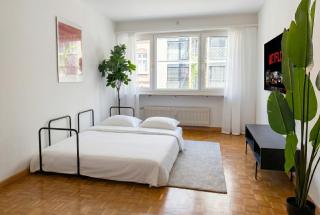 Central Vintage Apartment with Free BaselCard - 4