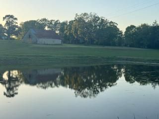 Stone Meadow Resort - 1