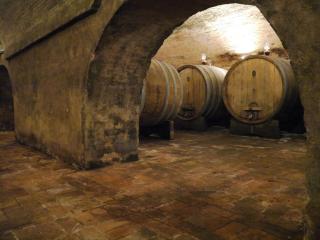 Castello di Lispida - 7