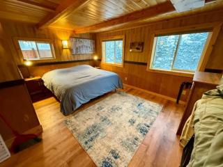 Denali Park View Family Log Cabin - 4