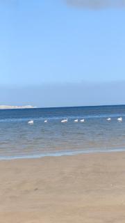 dakhla 4X4 camp - 2