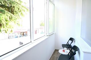 Cozy Apartment with Free Parking near Center- LeLand Apartment - 4