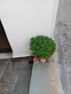 Myrto's traditional house - 6
