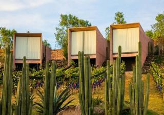 Hacienda Lagunillas - 0