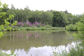 Modern 2 bed detached Cottage near Salisbury - 5