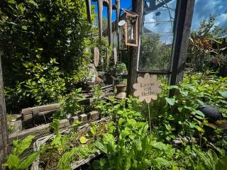 Chambre dans maison a la campagne - Pressins - 9