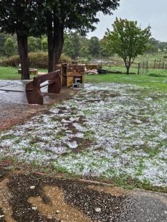 Bellevue Lodge Farm stays near Goulburn - Greenwich Park - 6
