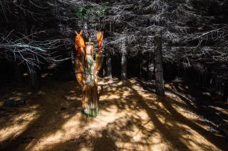 Finca Amulen - 5