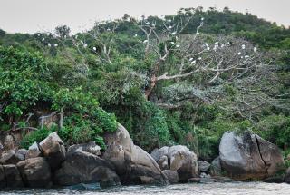 Wayando Beach Eco Lodge - 5