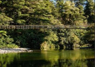 Stylish Trentham Retreat - 1