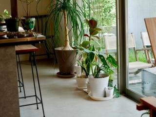 一棟貸切鳥取の深緑に潜むモダン建築焙煎したての珈琲と休息を - 7