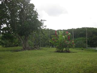 Mon Repos - 9