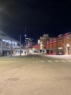 Exhibition Toronto FC 2026 FIFA Stay - Walk to BMO Field, GO Streetcar, PATH to Eaton Centre - 3