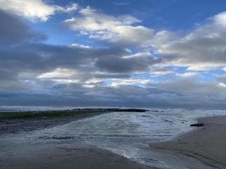 Beachfront Bliss in Middelkerke - 2