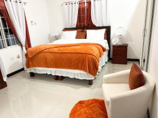 Modern 2BR Apt with Pool Prime Kingston Location - 5