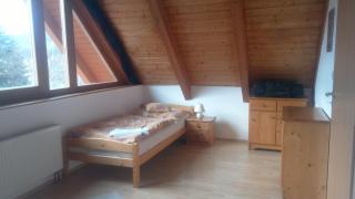 Apartment Lipno - Lipno nad Vltavou - 3