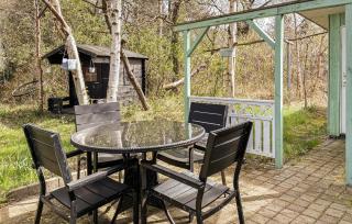 Pet Friendly Home In Hemmet With Wifi - 3