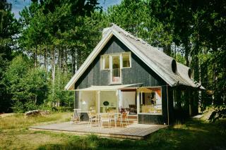 Experience Vibe Of Fredskov's Nature - 6