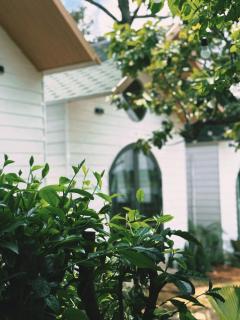 Kap homestay Pleiku - Lake view Heaven - 1