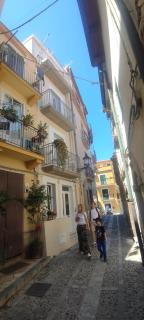 Nest Scilla - 8