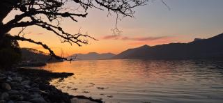 Tiny house with Fjordview! - 9