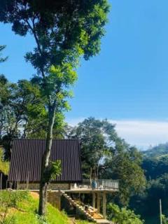 Crown wood cabin villa - 4