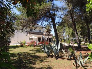 Apartments Liveric - Vir - 1