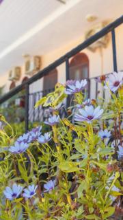 Yakamoz Hotel Fethiye - 7
