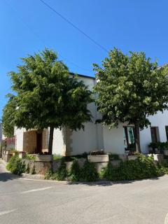 Oda Kuksit Hotel - 0