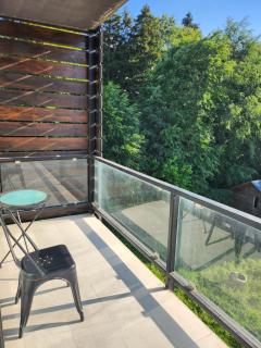 Bakuriani Art Hotel apartament - 8