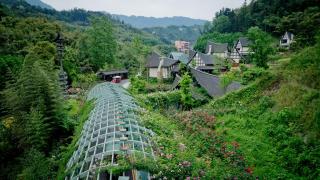 Ya'an Ten Miles of Blossoms · Wild Rose Hot Spring Village - 9