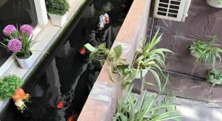 Apec Hotel - 4