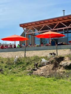 SEEZIEGE Uckermark - Ferienwohnungen am Carwitzer See - 1