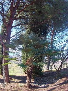 Villa Milù - Spoleto - 3