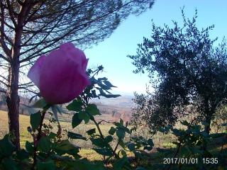 Villa Milù - Spoleto - 6