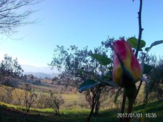 Villa Milù - Spoleto - 5