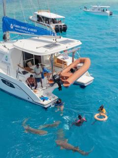 Sabba Whitesand Catamaran - 9