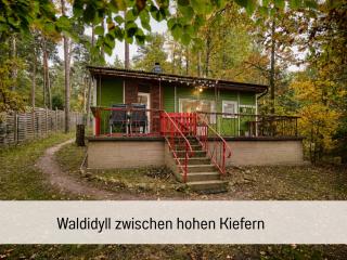 Waldidyll - Ruhe mitten im Wald - 9