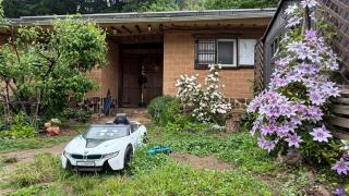 가평 야옹이네 Near Seoul Healing Stay Cats, BBQ, Korean Firepit Nights - 1