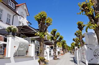 Appartementhaus Ida im Ostseebad - Ostseebad Sellin - 4