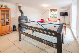 Air Hockey and Garden - 5