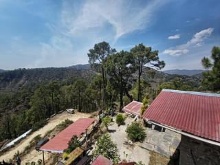 Pine Valley Binsar - 1