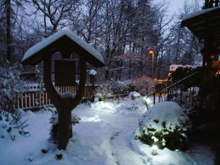 4 Personen Ferienwohnung im Wald mit Kamin, 84m², 3 Zimmer - 1